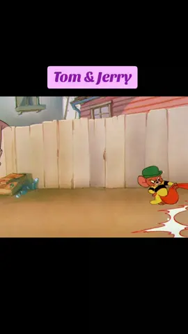 Tom & Jerry #highlights  #highlightseveryone #fypシ゚viralシ #followers  #tiktokreels       