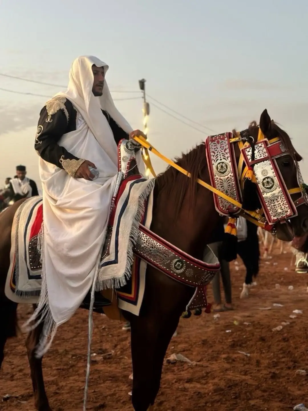 #فرسان_ليبيا_ زوية