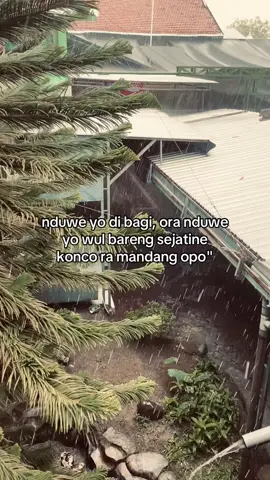 #fyp #4u #beranda #foryou #f 