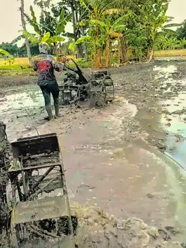 @sambelaja #teamngiwomadang #teamwegahngoyo #petaniindonesia🇮🇩🇮🇩🇮🇩🌿🌿 