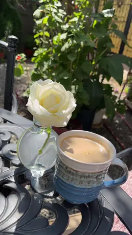 #مساءالورد #الورد #تصويري♥️🌺 #يومياتي🦋 #حديقتي♥️🌺 