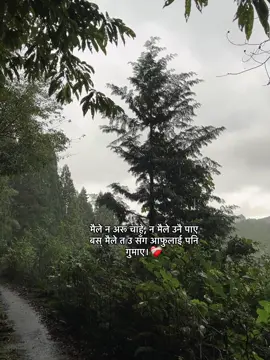 मैले न अरू चाहे, न मैले उनै पाए बस् मैले त उ सँग आफुलाई पनि गुमाए।❤️‍🩹 #fyp #fypシ @. 