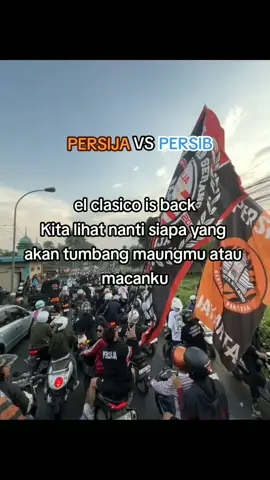 se,uu di tanggal 11 Januari Kita buktikan siapa yg lebih kuat #persijavspersib #macankemayoran #maungbandung #thejakmania1928🐯 #bobotoh1933