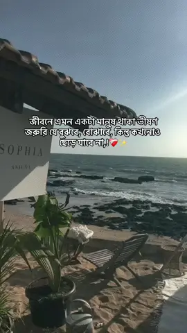 hea ............................... #♡বেলা♡ #princes_bella00 #grow #tiktokbangladesh🇧🇩 #Foryou @For You House ⍟ @TikTok Bangladesh @TikTok 