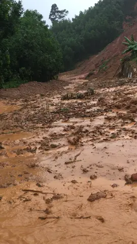 Bản thân muốn cố gắng cho dù đoạn đường còn rất dài những đi một mình lỡ gặp khó khăn không ai thấy, giờ chỉ mong vợ con ở ngoài đà giữ được sự bình an