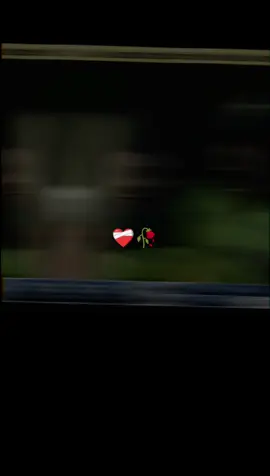 🏏😢🥹sorry TikTok l am late #viral #creator #creator search insight #pakistani Pakistan 🇵🇰 vs south Africa ODI searies match no 1 moments😎😎🔥