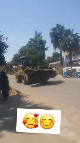 #ethiopian_tik_tok🇪🇹🇪🇹🇪🇹🇪🇹  #ስልጤነት_ይላምልም👌  #ethiopian_tik_tok  #Love 