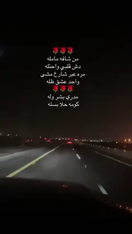 #اكسبلورexplore❥🕊🦋💚❤ #لايكات 