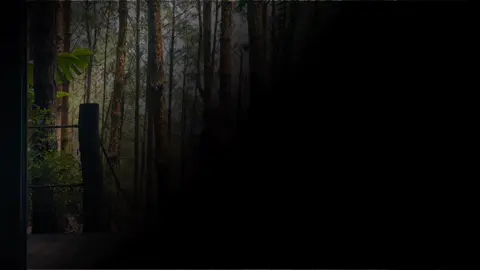 I got that summertime, summertime sadness #dalat 