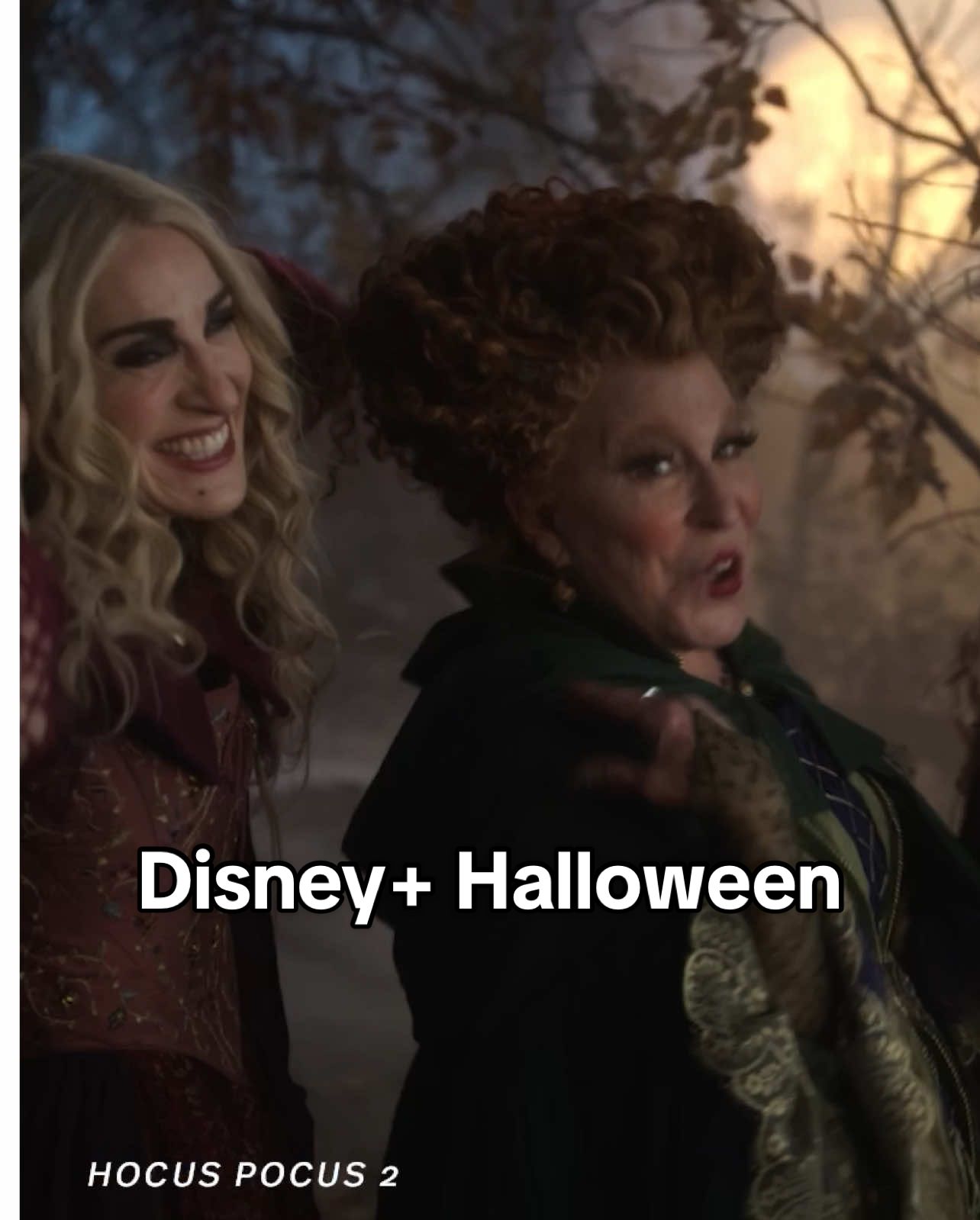 Sorelle Sanderson a rapporto. Pronti ad una mega maratona di Halloween 🎃 Quali titoli guarderete? Tutto questo e molto altro è disponibile su #DisneyPlus. #DaVedere #Halloween #HocusPocus #DisneyPlusIT 