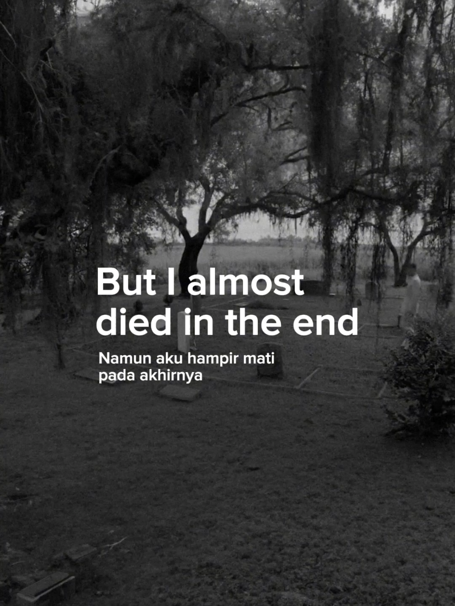 I risk my life for what aim for  #fyp #brianrahmattio #songrecomendations #lyricsvideo #sadsong 