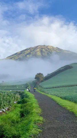 Pagi di kaki gunung sumbing kabut hijaunya ladang petani sebuah pemandangan yang menenangkan pikiran dan keindahan alam yang sempurna . #gunungsumbing #sukomakmur #magelang #trending #fyp 