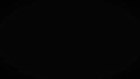 খুব সুন্দর গাছে  আর তুমি সুন্দর আমার কাছে..!🥀🥰#foryou #foryoupage #edit #videography #tiktok 