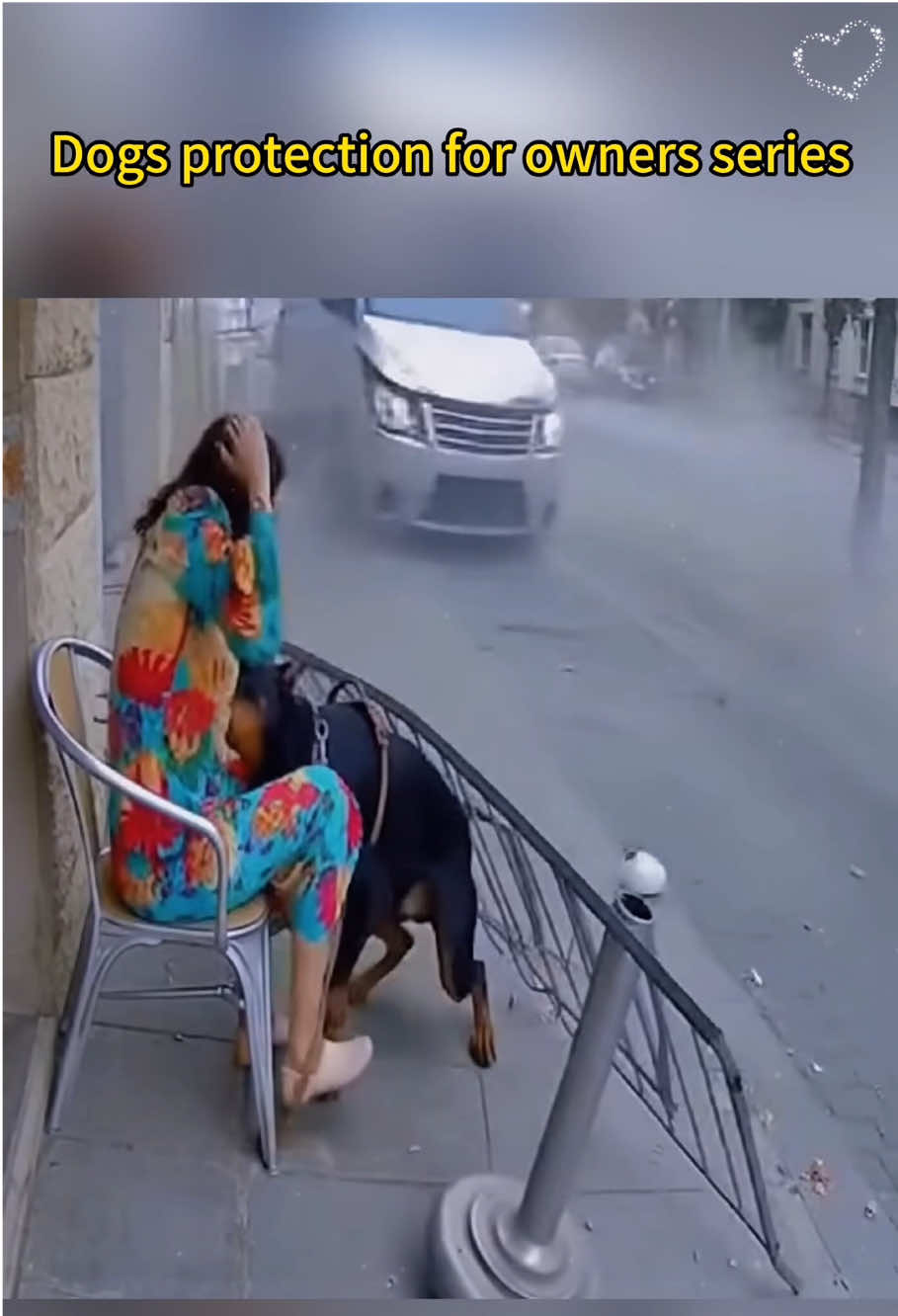 Dogs protect their owners 🥹#dog #protection #pet #fyp #tiktok #owner 