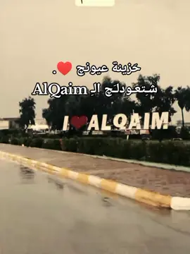 #القائم_حصيبه_غربيه🇮🇶  #الشعب_الصيني_ماله_حل😂😂  @روඋ☄️ 