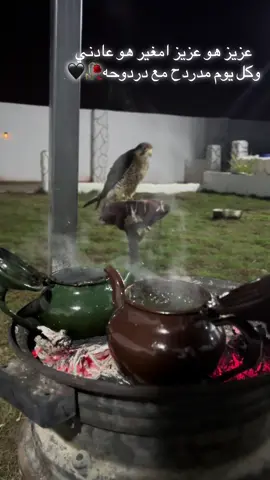 #ليبيا_طرابلس_مصراتة_بنغازي_اجدابيا @مفتاح مذكور المغربي @هـيـمـا  !!  Z a w i l a 💫 