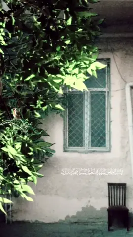 #السيد الشهيد محمد محمد صادق الصدر 