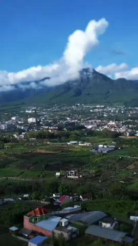 #batuartflowercarnival2025#bafc2025#desapandanrejo#bumiaji#evecahaya