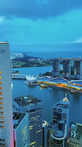 Vì sao Singapore là nước giàu có #newlifeduhoc #duhocsingapore #duhoc #singapore #xuhuong 