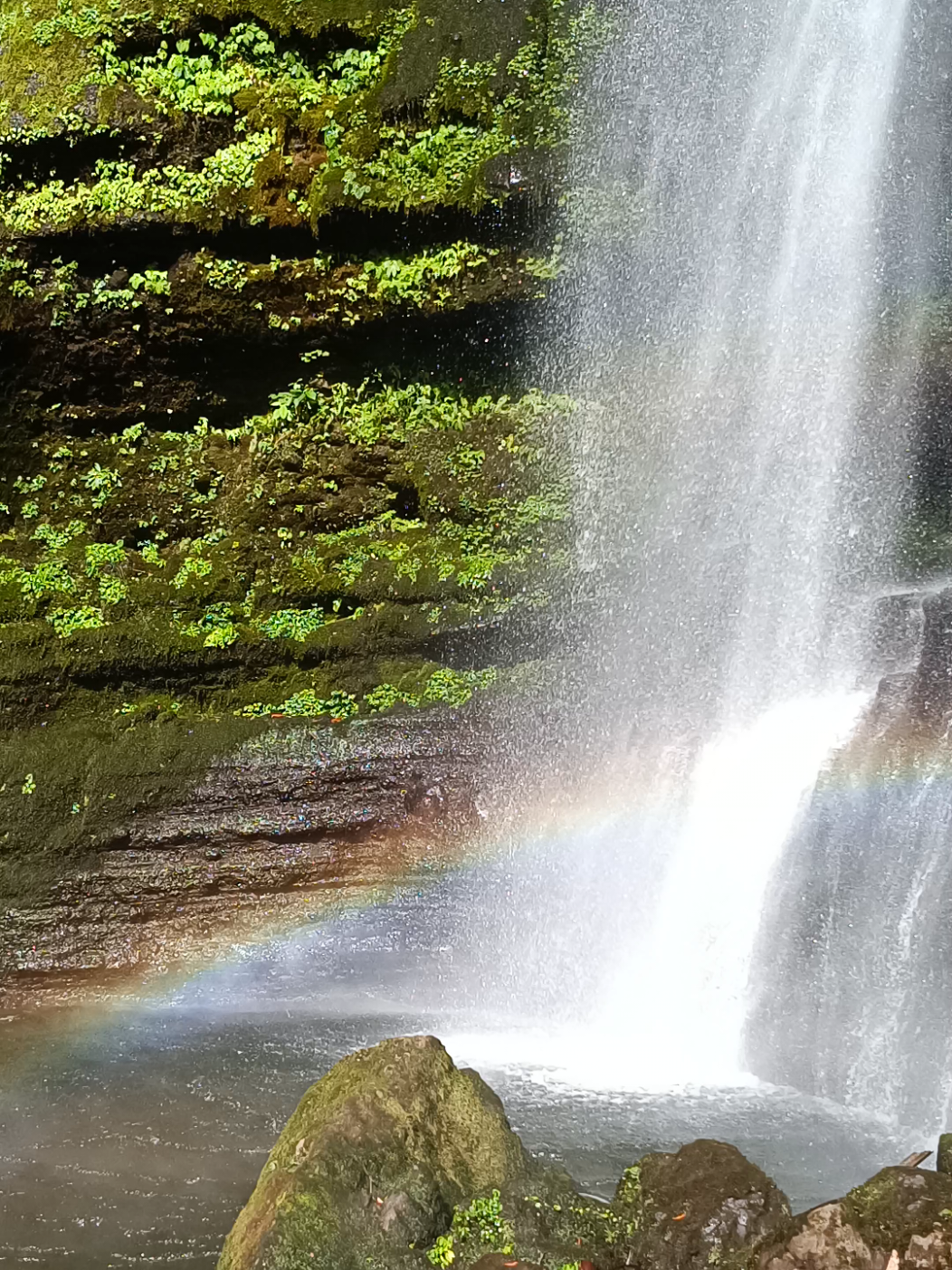 Day 1 akun baru #day1 #akunbaru #fyp #promosi 