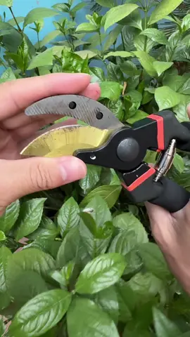 Kéo cắt tỉa cây SK5 #hanhstore_1 #dogiadung #keocattiacaysk5 