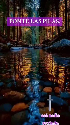 #creatorsearchinsights #vivelavida #ereselmejor #erestu #sefelizsiempre 