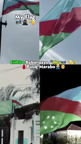 #CapCut Ciiltire🇦🇿🩸🔥🫡😭❤️ . . . . . . . . . . . . . #fypage #fyppppppppppppppppppppppp #fouryourpage❤️❤️ #raxweynimo🇦🇿🇦🇿💪❤😍 