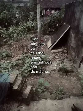 #nguynhung02 #xuhuong 