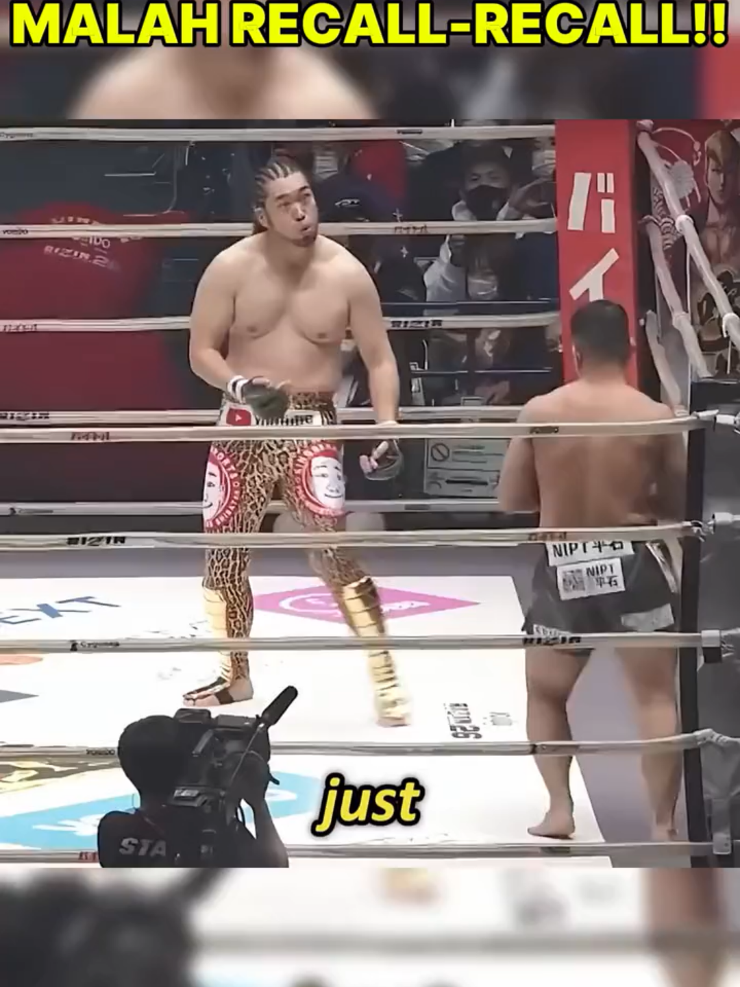 BUKANNYA BERTARUNG MALAH RECALL RECALL!! #SPORT #mma #UFC #boxing #SPORTS