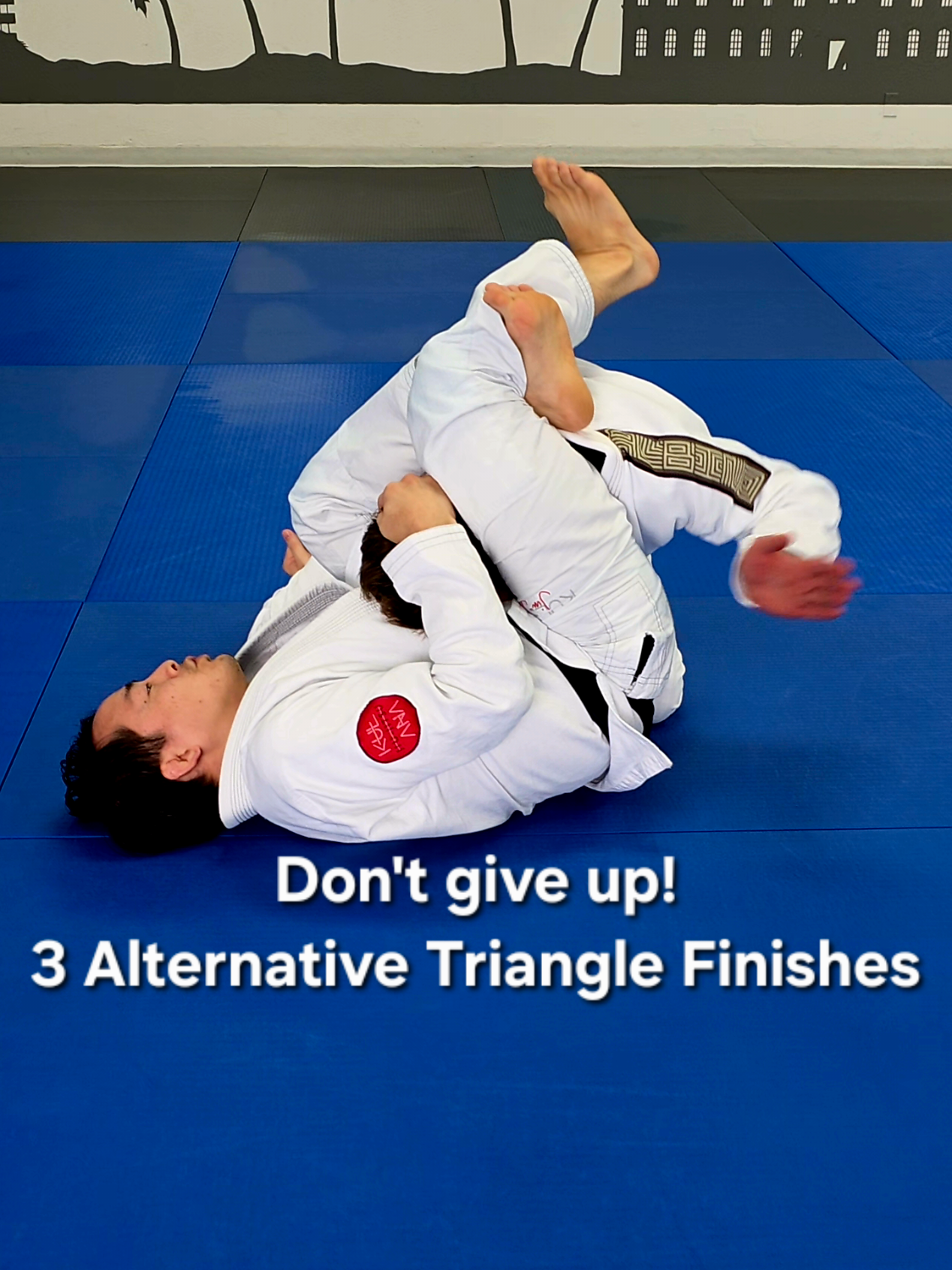 3 Situations where you can still Finish a subpar Triangle Set-up! 1. Trap Triangle 2. Loose Lock 3. Hiding the Arm Follow and like @darrenogasawara for more high quality content! 😁: @artmelnykov 📸: @tiffany_hana_ 🥋: @daybydayjiujitsu 🏠: @kuleanajj . . . . . #viral #3finishes #triangle #gi #bjj 
