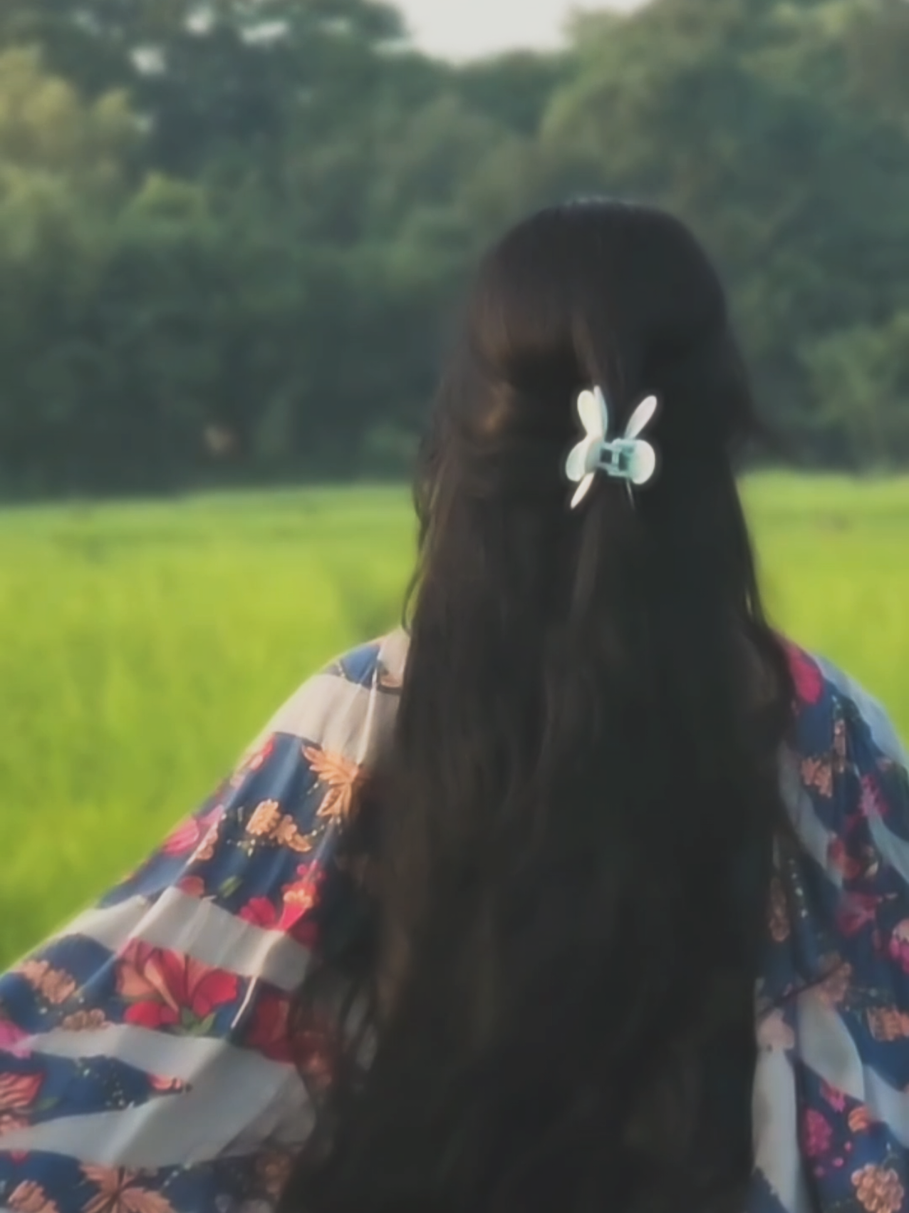 ভাইরাল ধান খেত 🙂🕊️ #foryou #foryoupage #fypシ゚ #bdtiktokbangladesh #tiktokbangladesh🇧🇩 