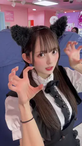 性格は猫です🐱