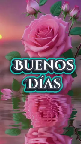 #vichy347 #buenos días # bendecido miércoles 