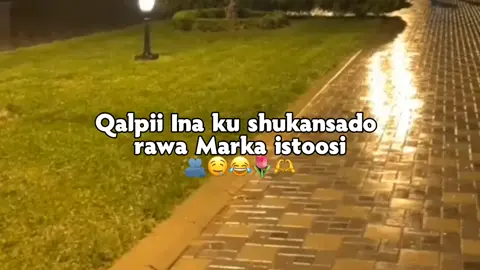 love sar 👍🏽#jiwibila🌊🌴💔 #foryoupage #jiwibila🌊🌴💔 #foryoupage #jiwibila🌊🌴💔 