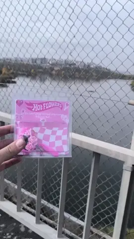 Hot Flowers 🌸🩷 #hotwheels #hotwheelsindonesia #hotwheelsdaily #flowers #pink 