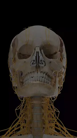 ✨And it is He who created for you hearing👂,sight👀,and hearts.🫀 Little are you grateful.|🤲🤲☝️ #قران_كريم #سورة_المؤمنون #ياسر_الدوسري  #1millionviews🔥 #islamic_video 