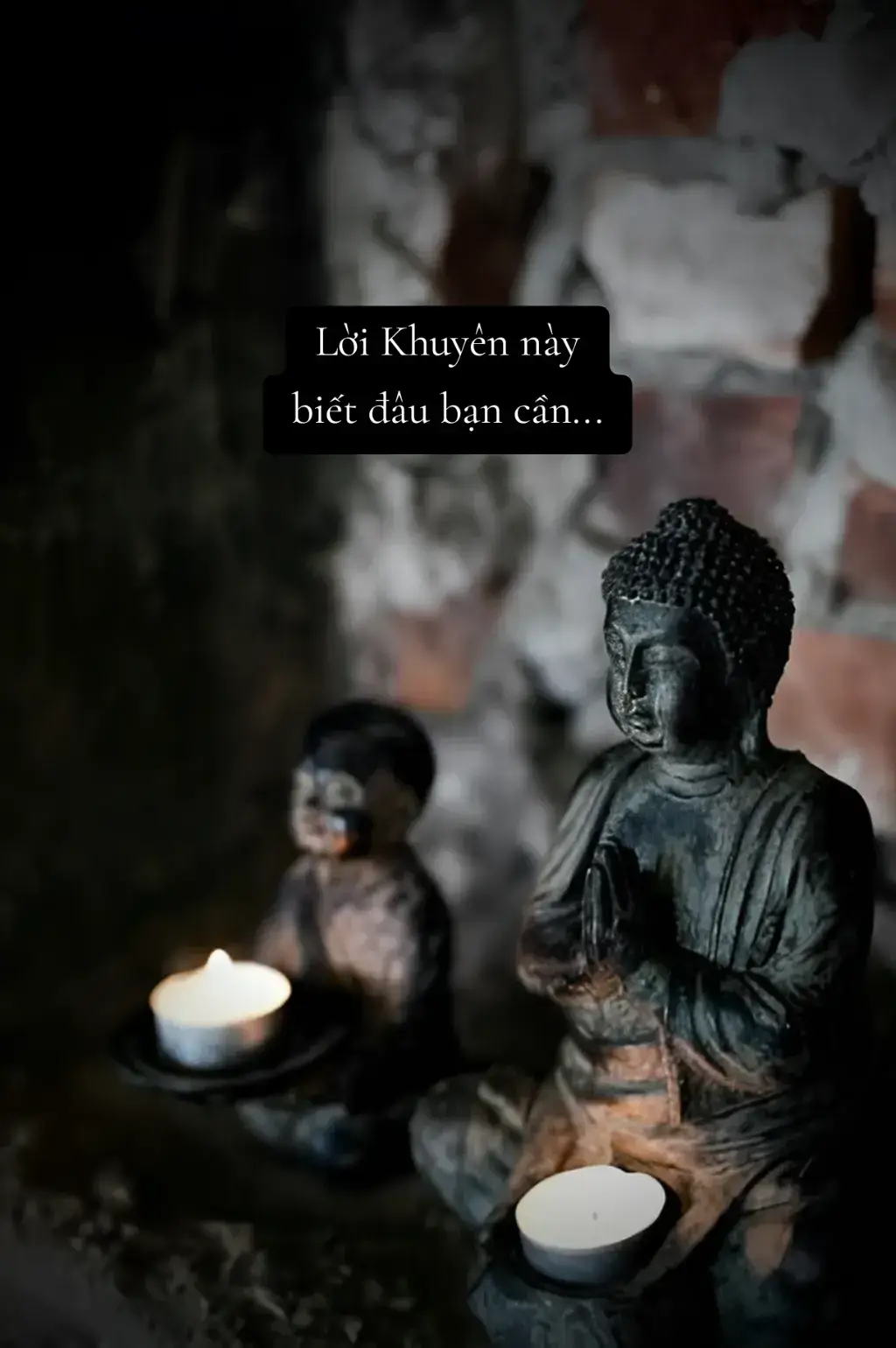 Khi người khác không cần nên học cách thu hồi sự nhiệt tình và rời đi... #phatphapnhiemmau #phatphap #trietlycuocsong #chamngonsong #khoanglangruta 