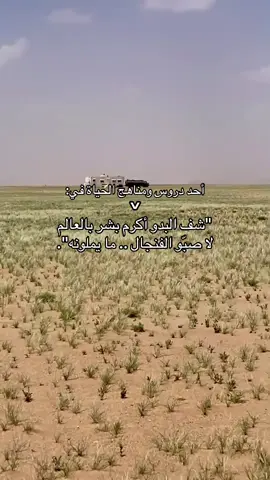 #الابل #foryoupage #virfypシfypシ #شعر #الحياة 