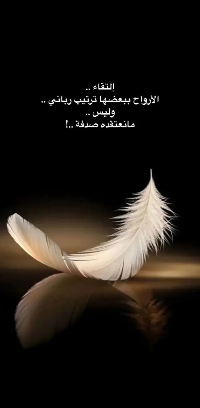 #creatorsearchinsights #عبارات #ستوريات #عبارتكم_فخمة🖤💉🥀 #عباراتكم_الفخمه📿📌 