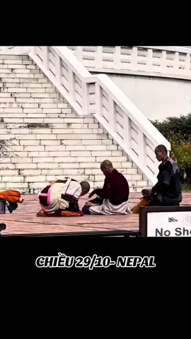 Thầy bị đạp gai #xuhuong #thichminhtue #gaimienque ☘️🌸