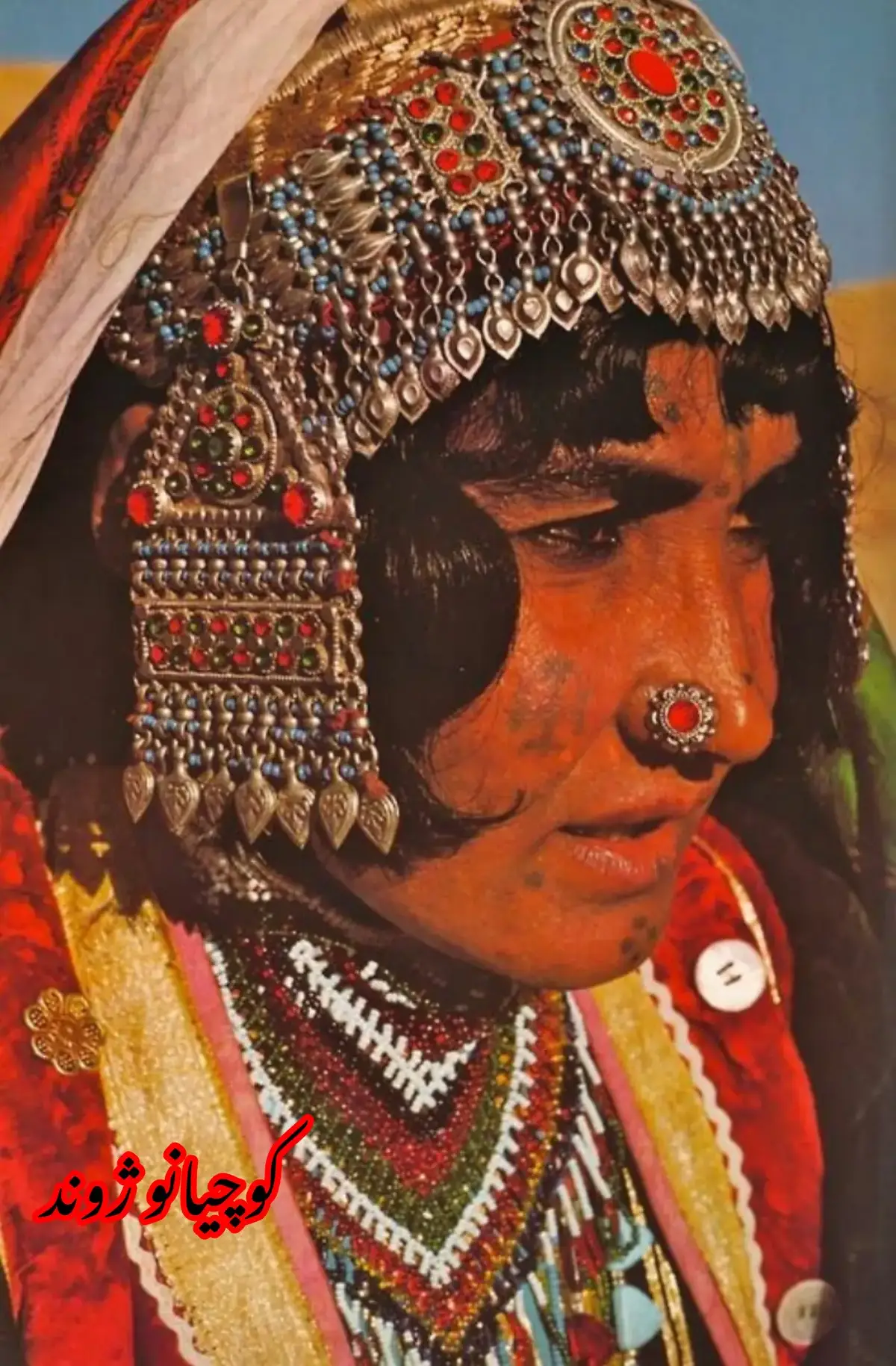 میرا ایڈی فالو کرو تاکہ اچھی اچھی ویڈیوز اپ لوگوں  تک ہا جاتی یے