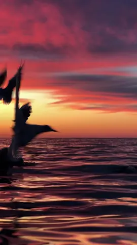 #тіктокукраїна #рекомендації #рекомендации #хочуврек #viral 