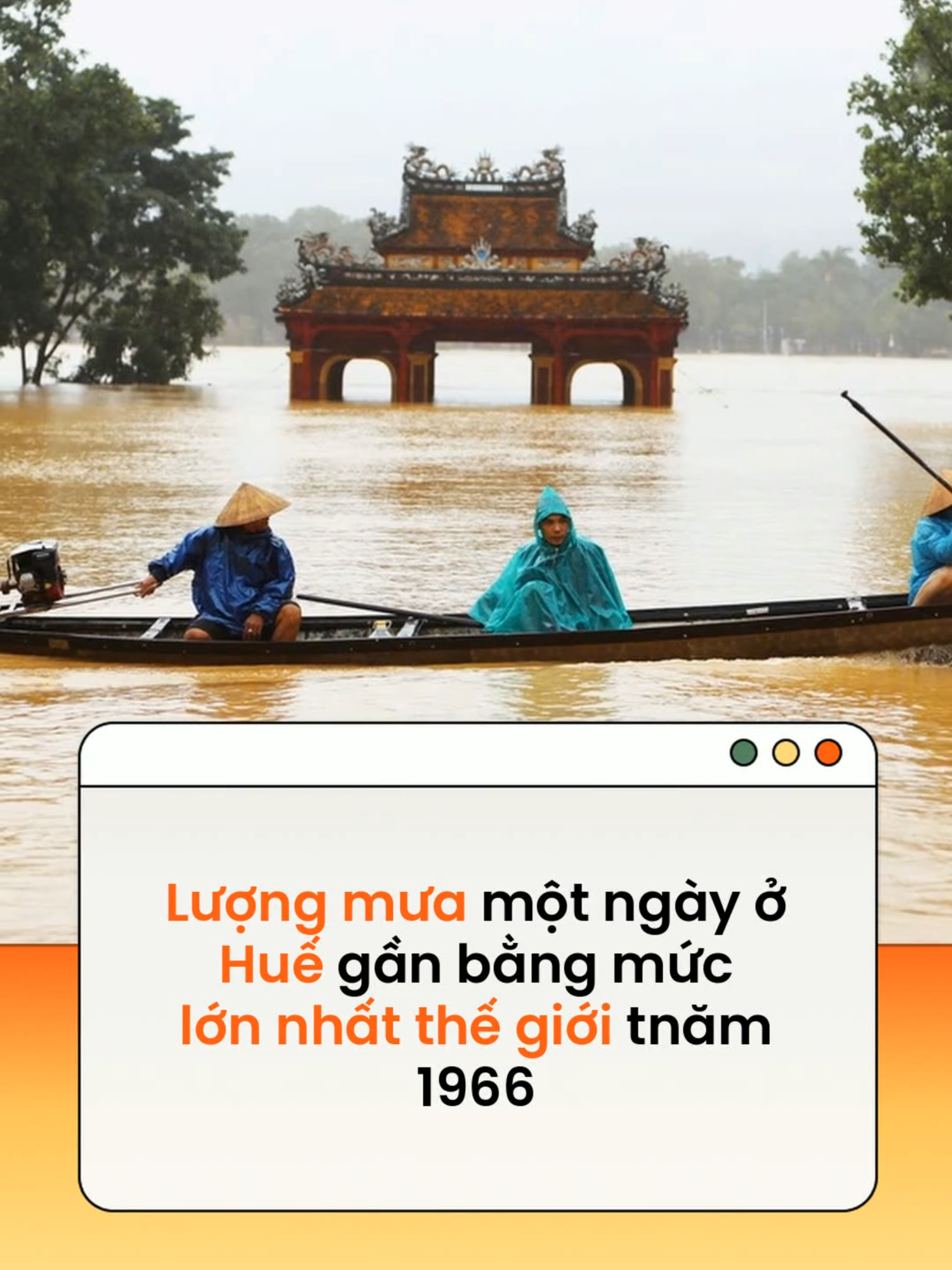 Bạch Mã (Huế) ghi nhận lượng mưa lịch sử trong một ngày lên đến 1.739,6mm, cao nhất lịch sử Việt Nam và gần bằng lượng mưa lớn nhất một ngày trên thế giới năm 1966 #news #amm  Theo VTC NEWS