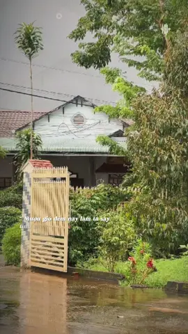 Mượn gió đêm nay làm ta say#nhacnaychillphet #xuhuongamnhac #fyp #phongsuongtuu #nghenhacmoingay 