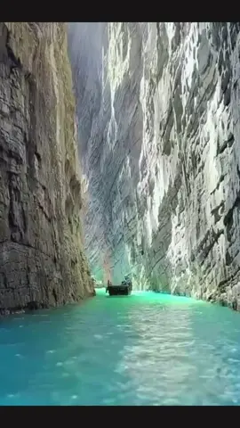 #تصميم_فيديوهات🎶🎤🎬 #fyppppppppppppppppppppppp #tiktokindia #تيك_توك #الجزائر🇩🇿_تونس🇹🇳_المغرب🇲🇦  @Michou  @Michou  @Michou 