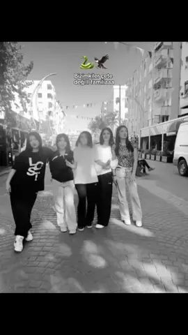 #CapCut #bizimkilerçetedeğilfamiliy @🤎” 