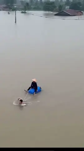 #mientrunglulut #lulut #mecon cam dong lòng hiếu thảo của người con 🥹