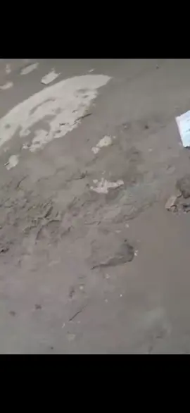 Maandamano October 2025 #fyp #tanzaniatiktok #tanzaniantiktok🇹🇿 #tanzania🇹🇿 #tanzania 