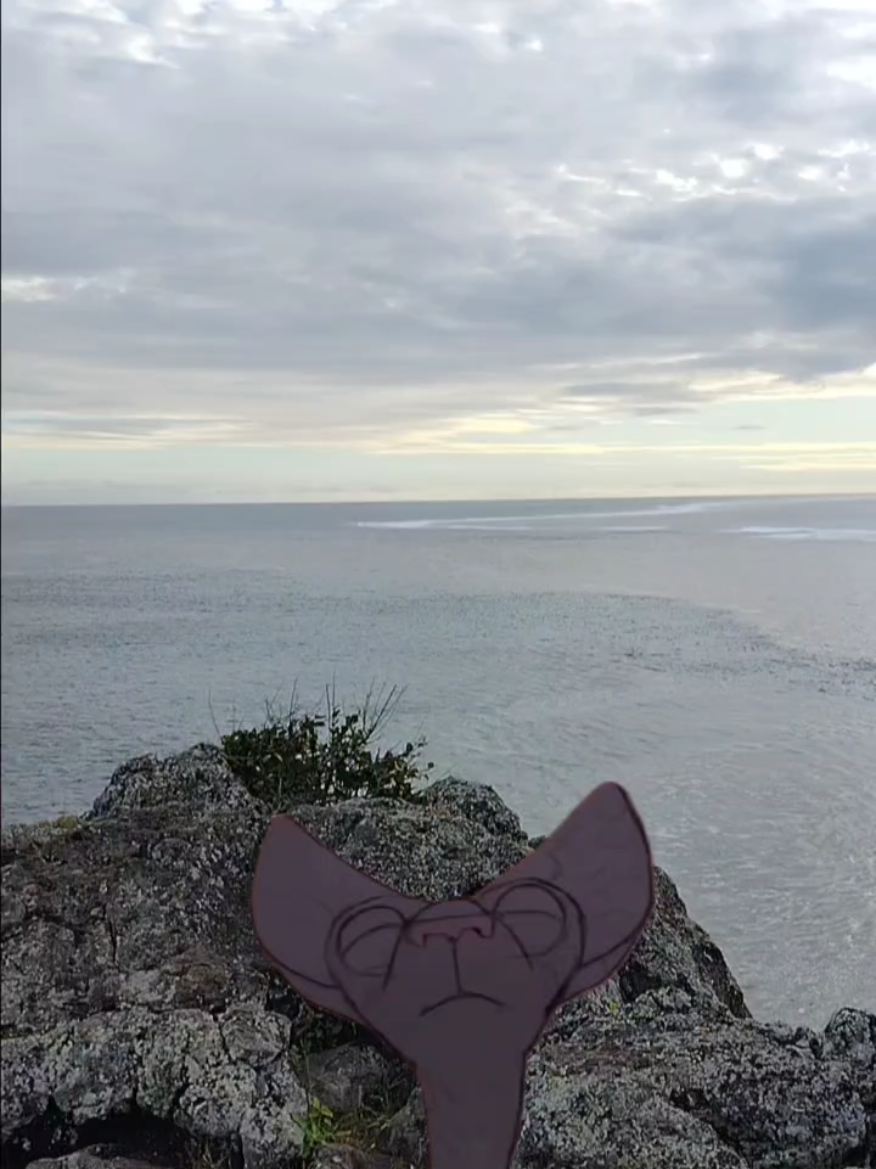 Désolée, c'était plus fort que moi 🤣🤣🤣🤣