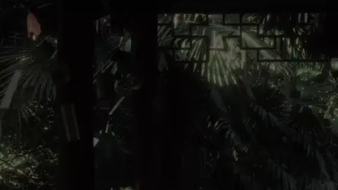 nàng đã trót yêu#music #nhachaymoingay #nhactamtrang 